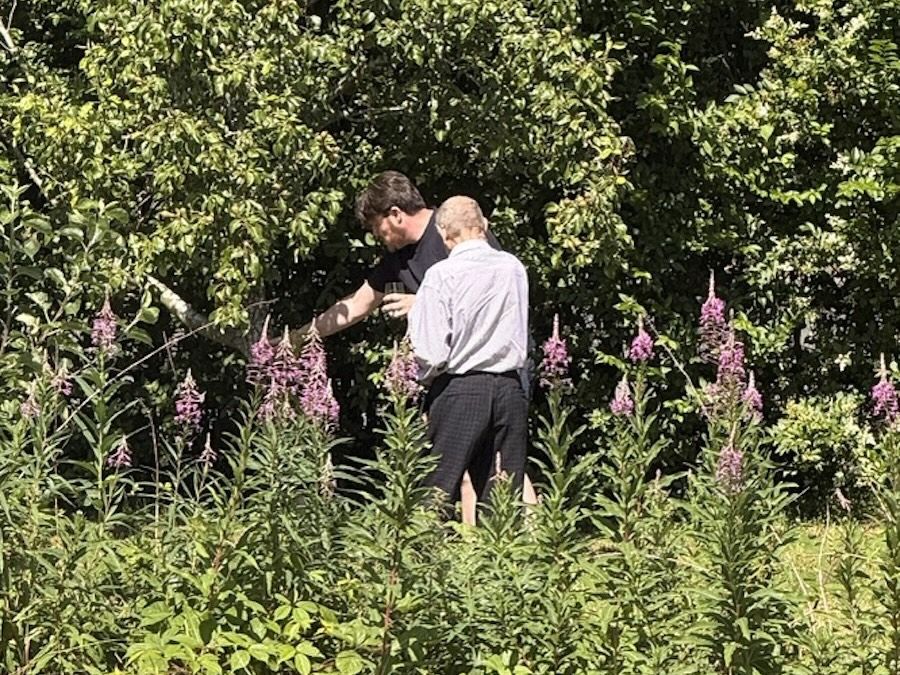 Two people among the wildflowers in the orchard